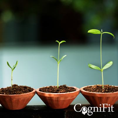 CogniFit Technologie - De Basis Voor Cognitieve Ontwikkeling